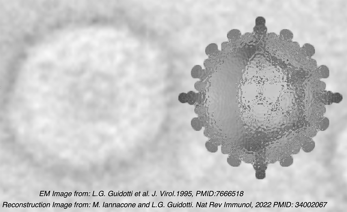 p3lab_cover